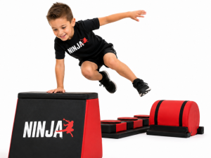 Ultimate Challenge - Ninja Program
